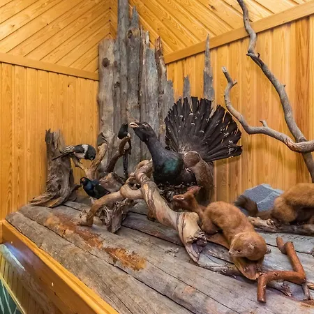 Honkalinna By Interhome Сasa de vacaciones Kokkosenlahti